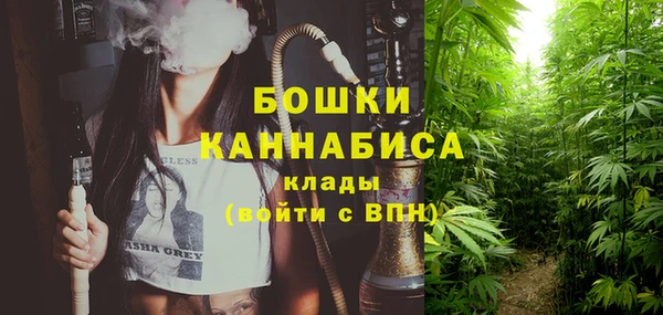 дурь Алзамай