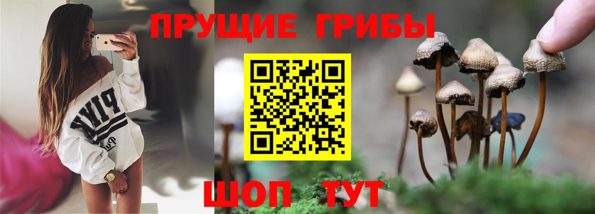 Амурск  Галлюциногенные грибы прущие грибы  Вход с VPN 